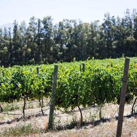 Manley Wine Estate Bed & Breakfast Tulbagh Exterior photo